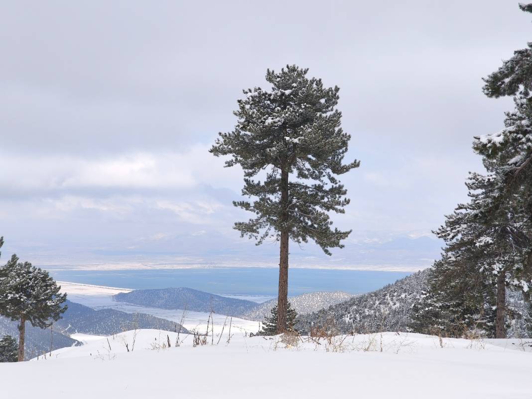 Konya’nın kar altındaki yaylası bir masal diyarına dönüştü 16